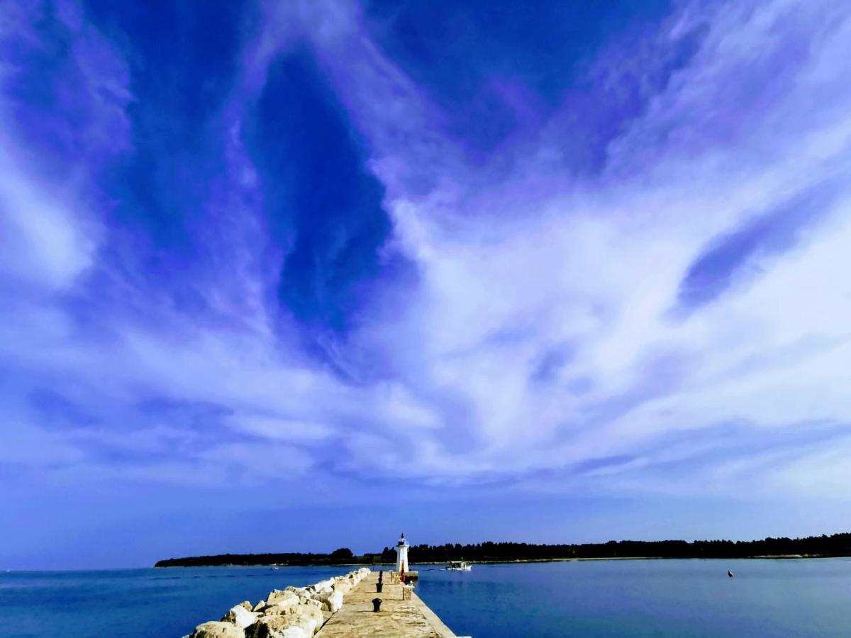 Lora Deluxe Superior 5 Star Apartment, Your Piece Of Heaven By The Sea & Park With Sea & Park View Новиград Екстериор снимка