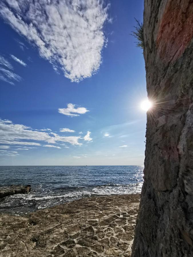 Lora Deluxe Superior 5 Star Apartment, Your Piece Of Heaven By The Sea & Park With Sea & Park View Новиград Екстериор снимка